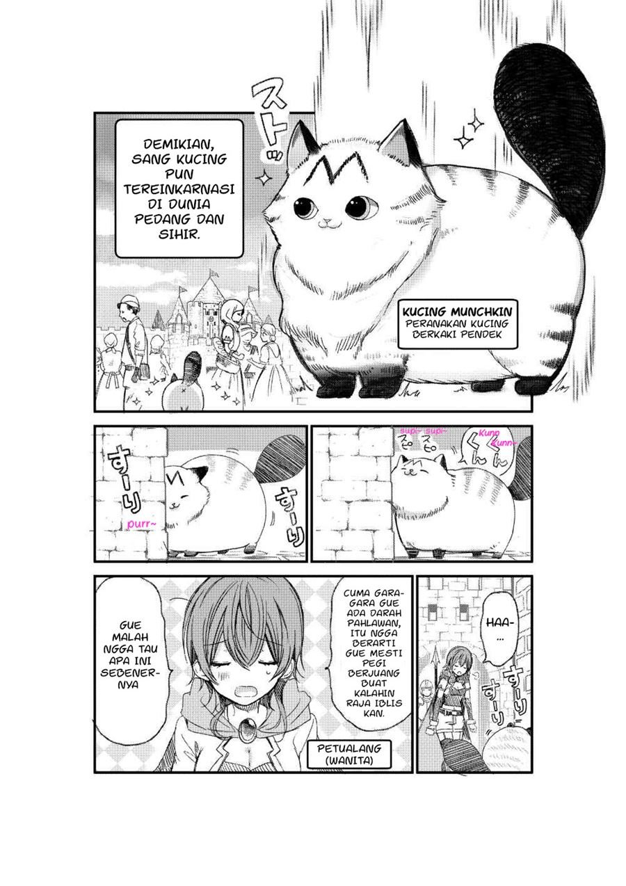 Baca A Story about a Cat Reincarnated in a Different World Where There are no Cats Chapter 1  - GudangKomik