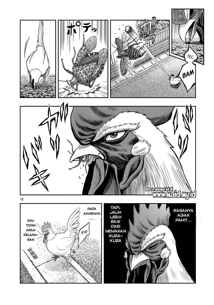 Baca Rooster Fighter Chapter 1  - GudangKomik