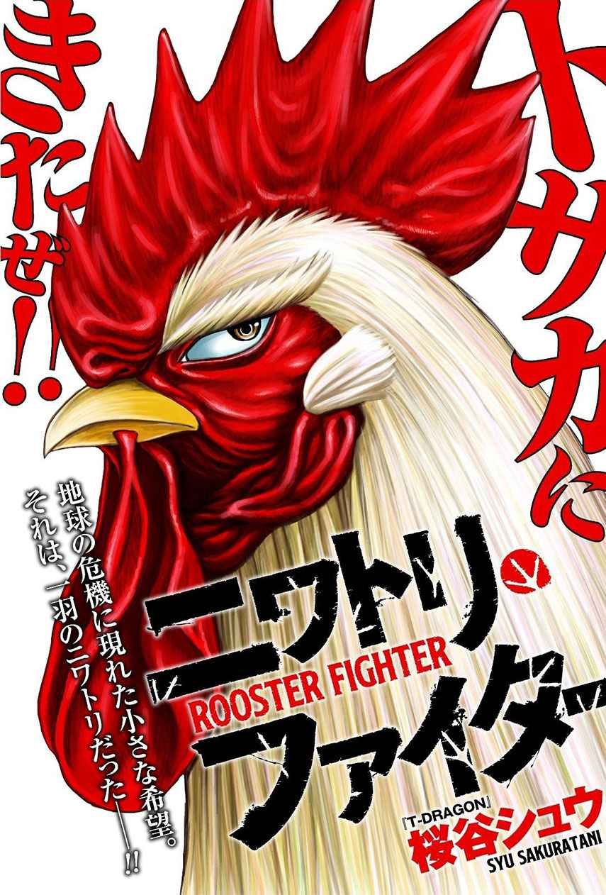 Baca Rooster Fighter Chapter 1  - GudangKomik