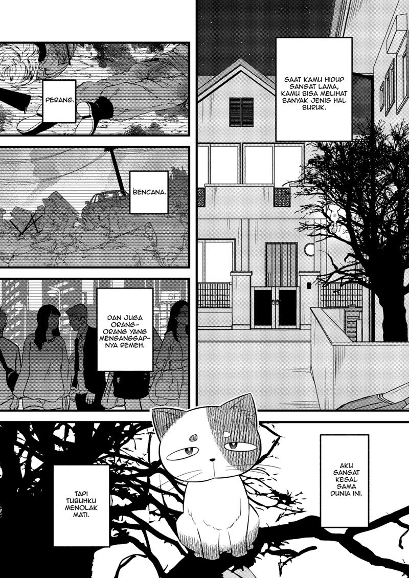 Baca The Story of a Cat That Has Lived for 100 Years Chapter 0  - GudangKomik